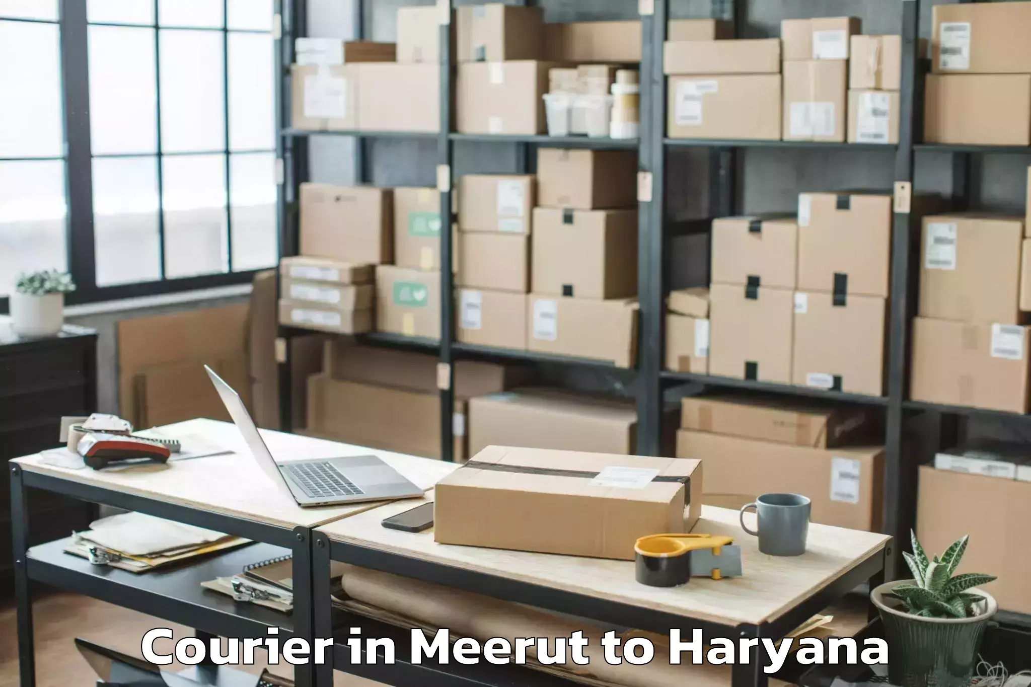 Top Meerut to Srm University Haryana Sonipat Courier Available